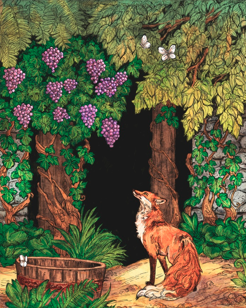 Image Of A Fox And Grapes