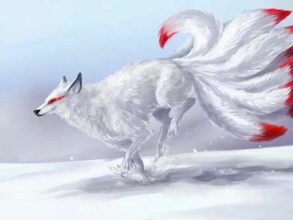 Image Of A Kitsune 2